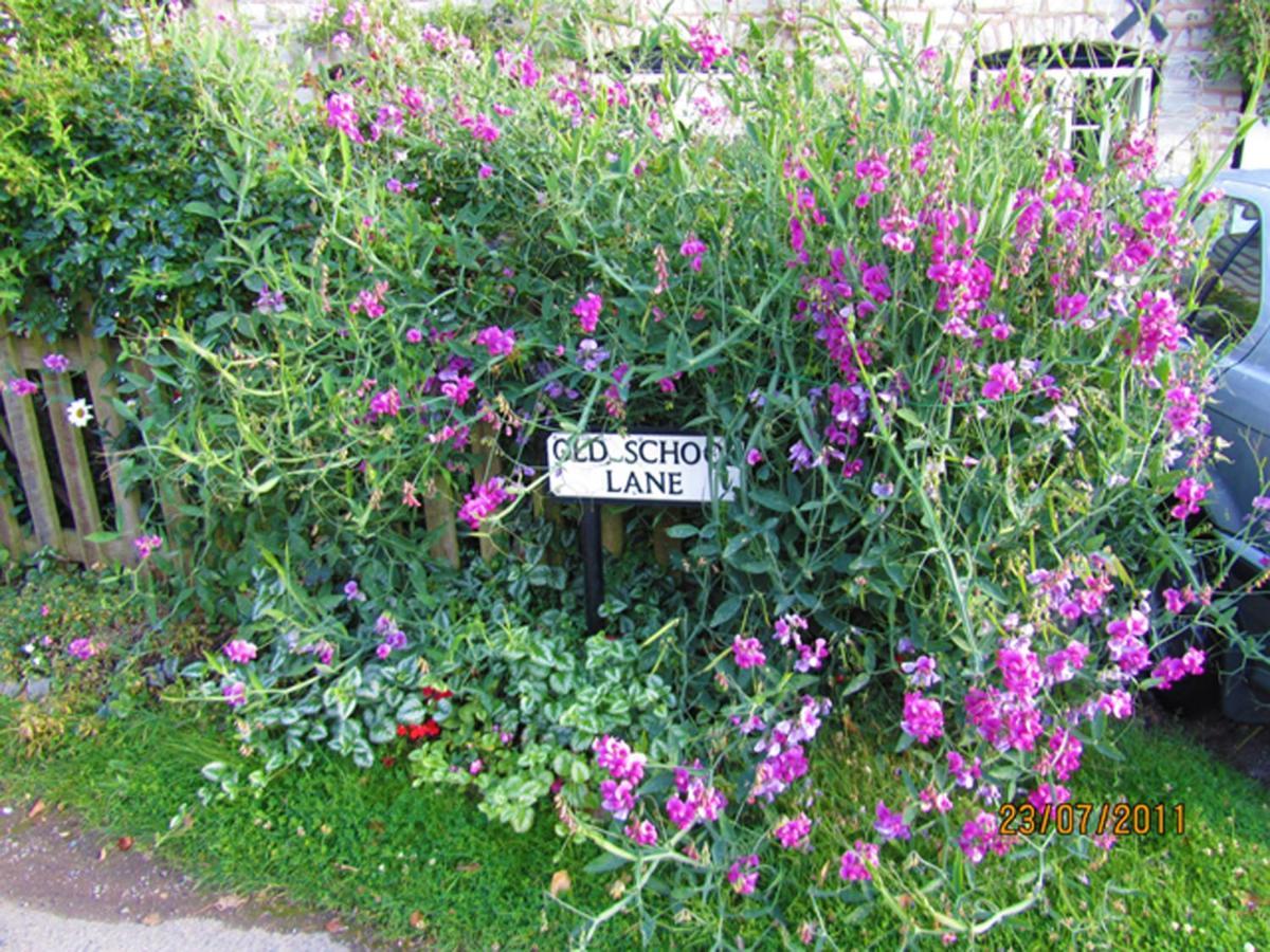 Harpe Cottage Wilmcote 외부 사진